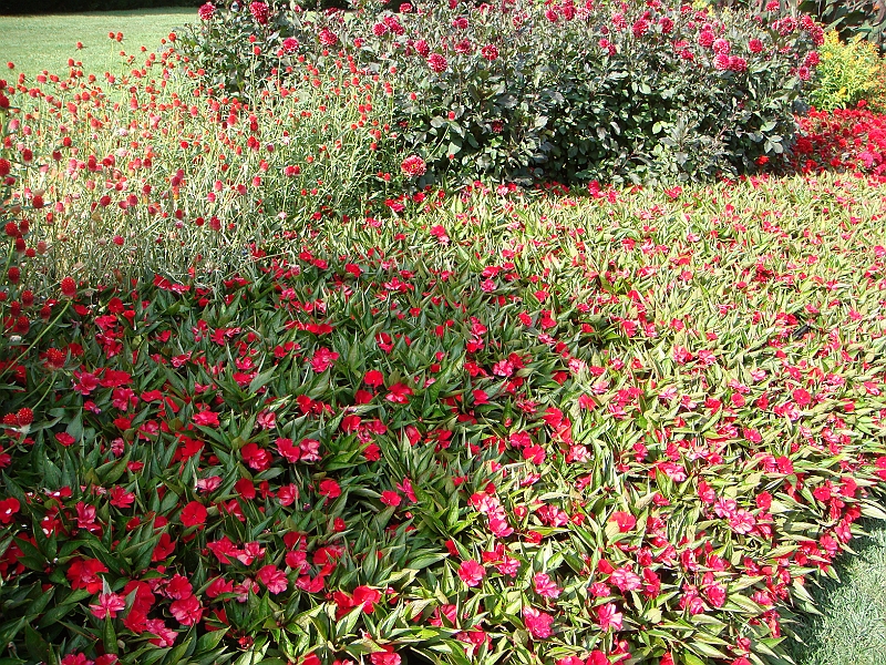 194 Longwood Gardens [2008 August 23].JPG - Longwood Gardens in Pennsylvania